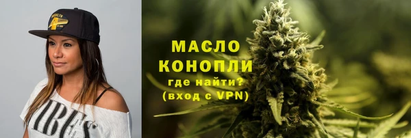 гидра Арсеньев