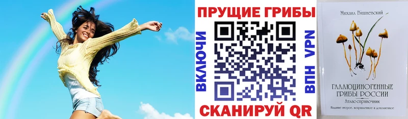 Псилоцибиновые грибы мицелий  mega как войти  Аркадак 